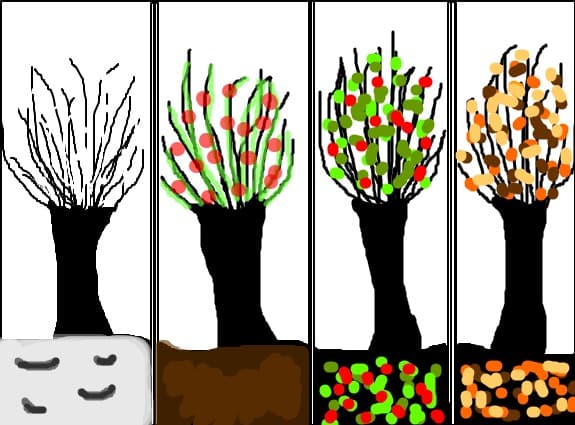 anotimpurile:D