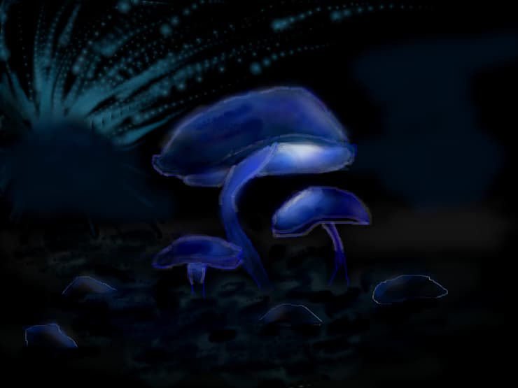 Glowing mushrooms