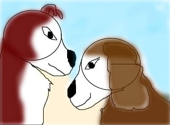 dog &amp;dog &amp; bog