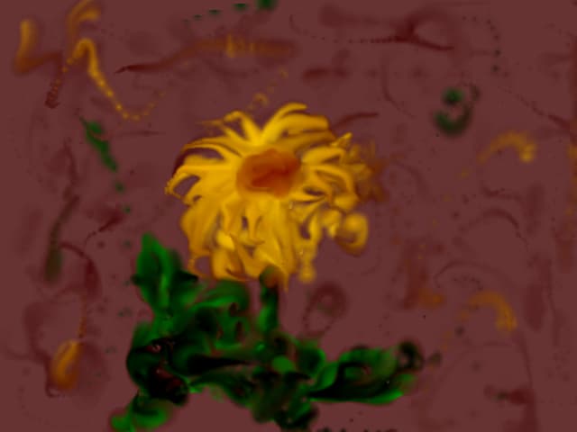 O floare.......