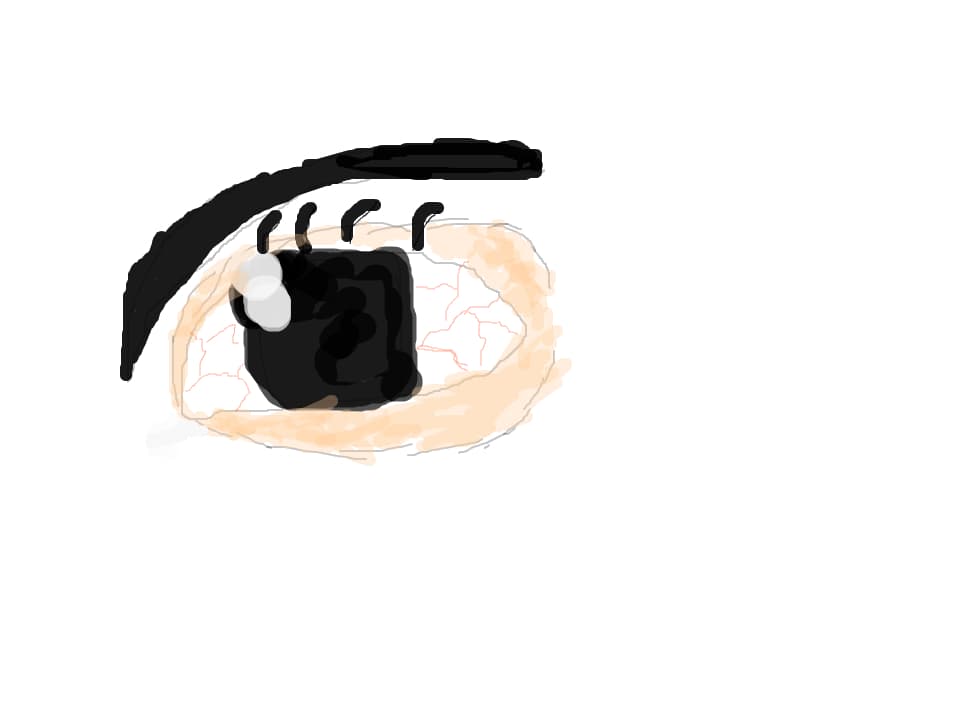 Ochi