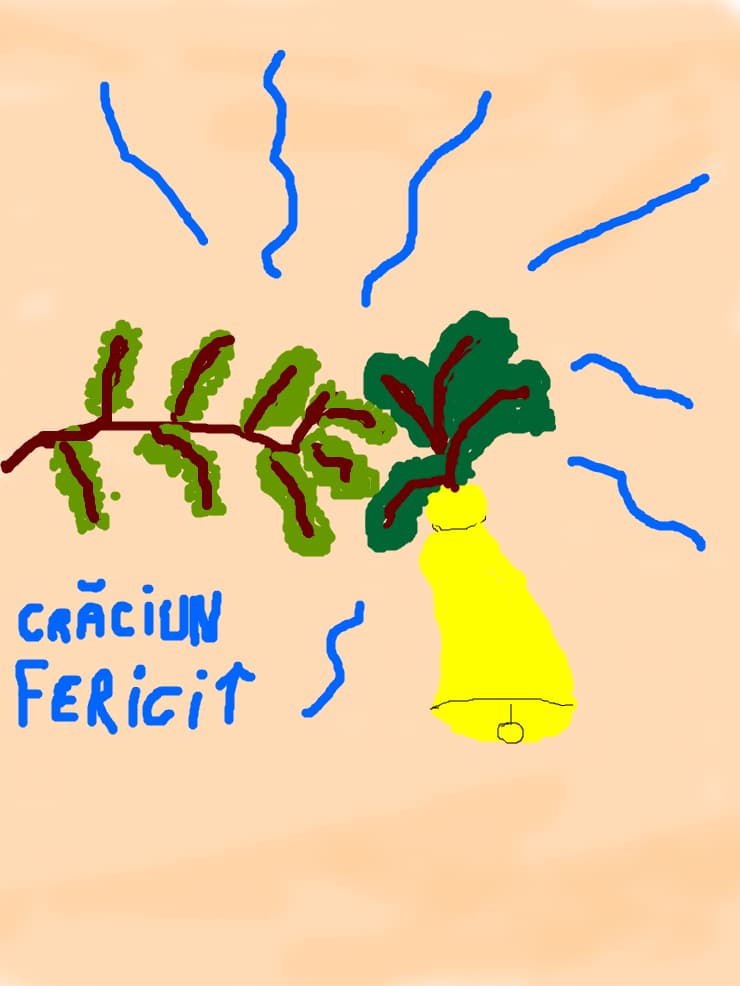 craciun fericit