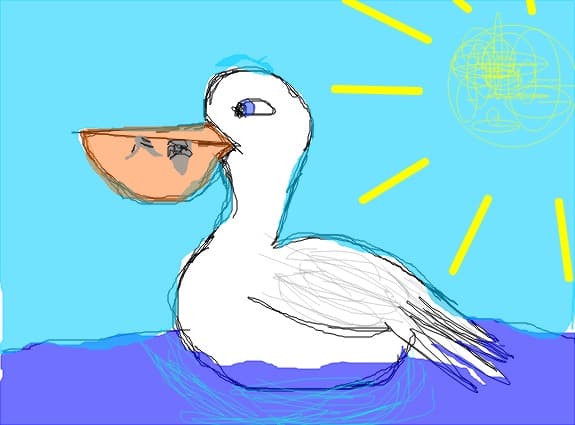 pelican