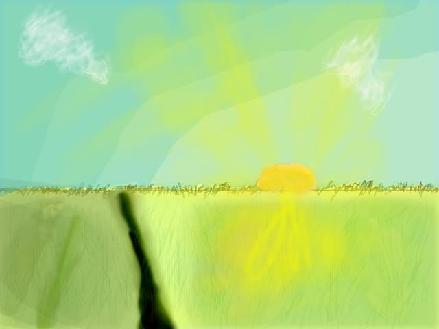 Sunshine