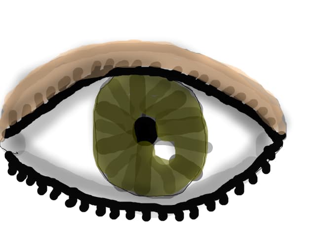 Ochi