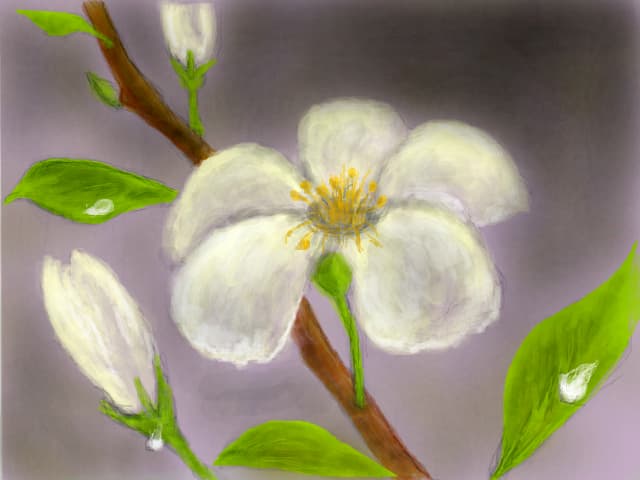 ....floare de ...cires