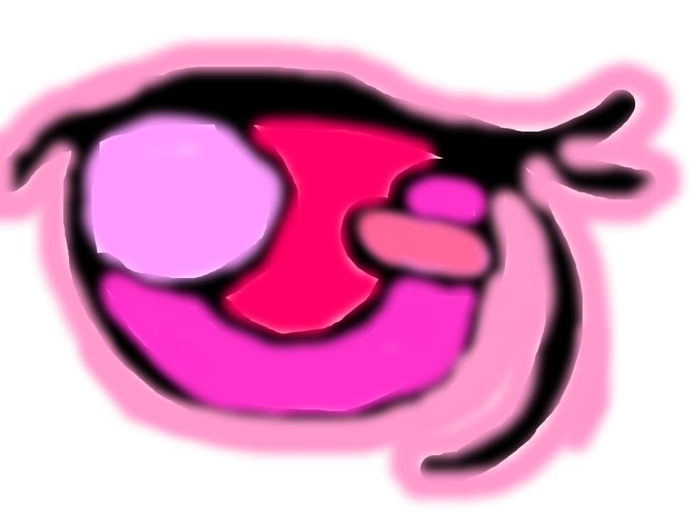 Ochi