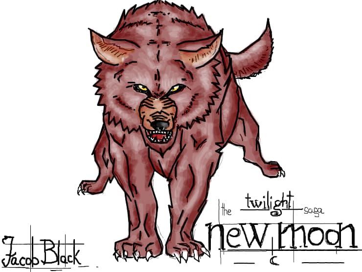 jacob twilight