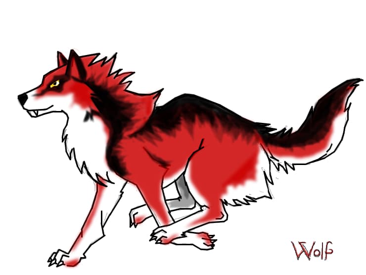 Wolf
