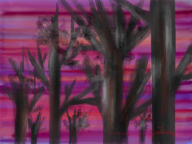 Copaci
