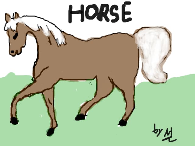 horse