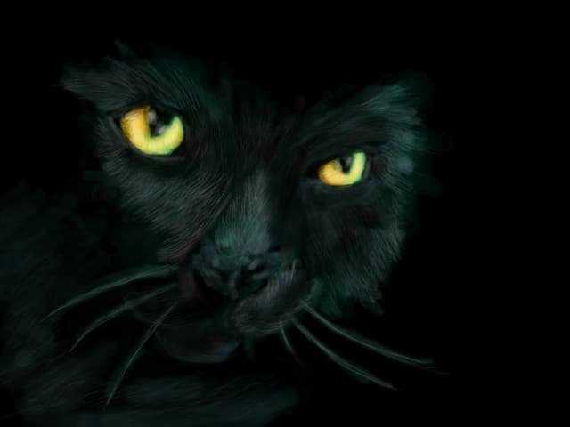 Din umbra