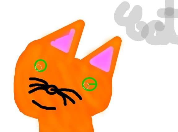 A cat.