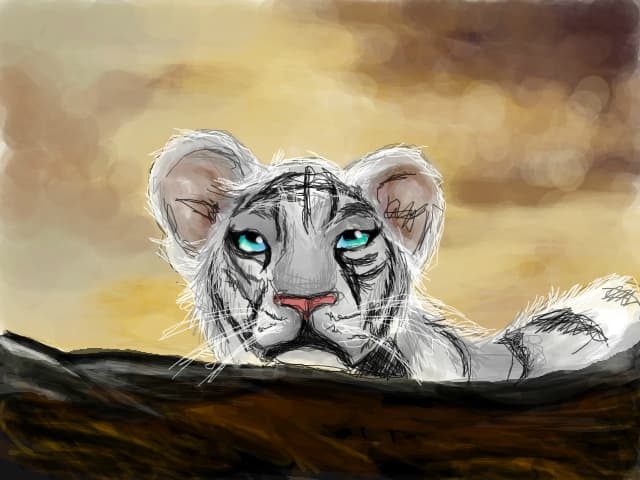 kitten - A SE VIZUALIZA MARE-