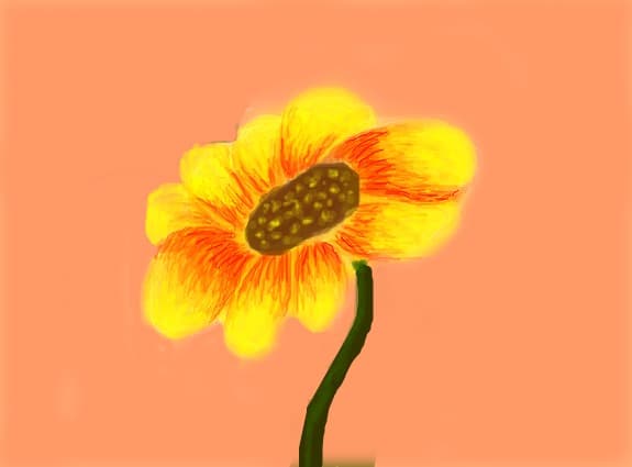 Floare