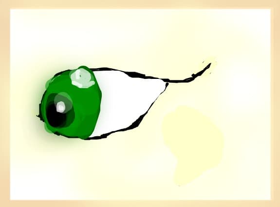 ochi