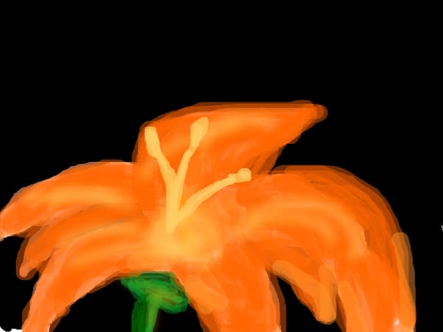 Flore