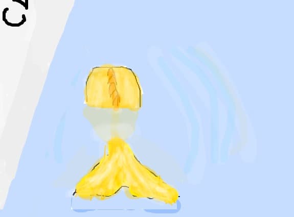 h2o
