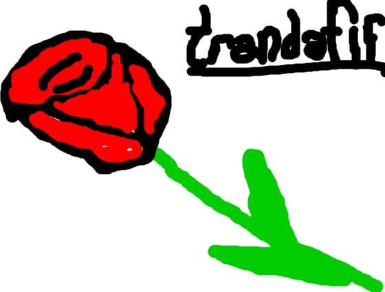 trandafir