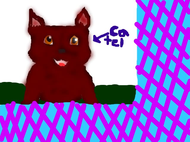 tablou cu catel