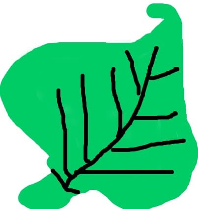 frunza