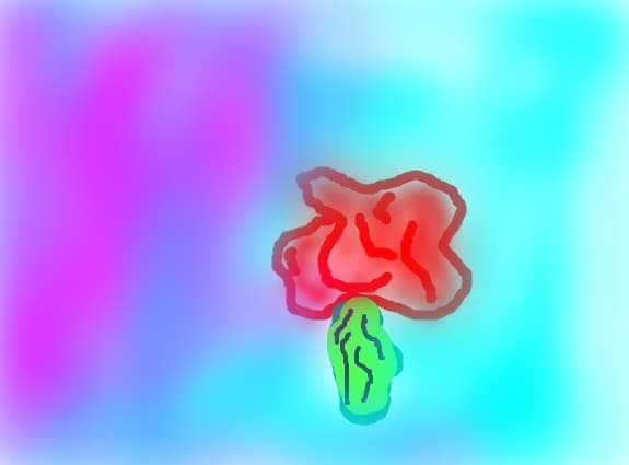 rose