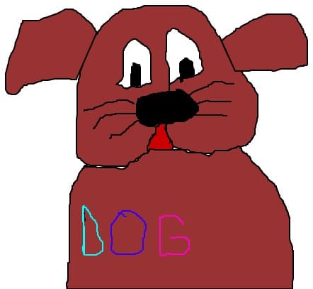 dog
