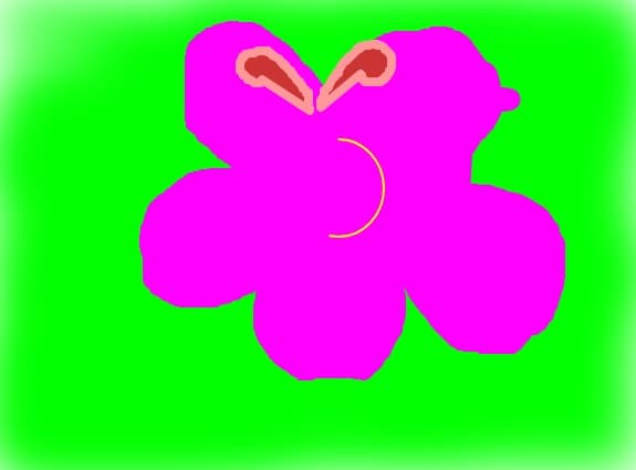 staranna
