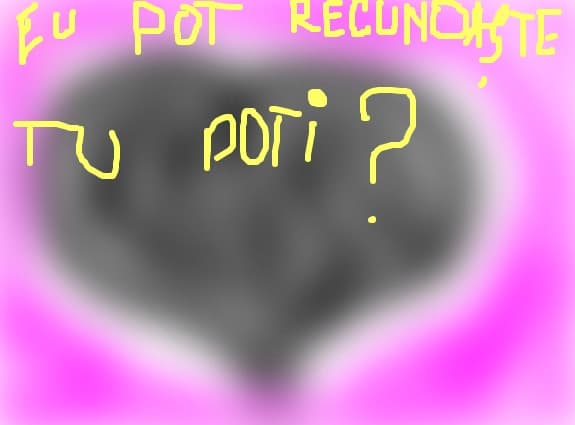 baietii pot??????