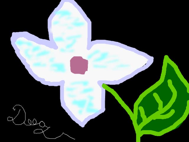 O floare...
