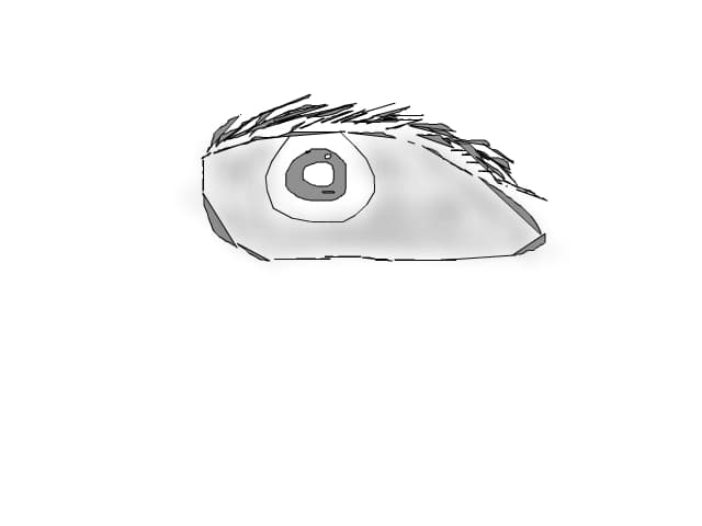 ochi