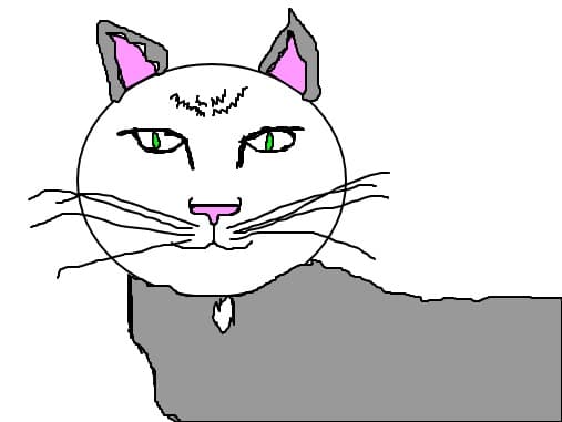 Pisica :D