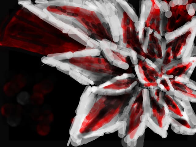 Floare