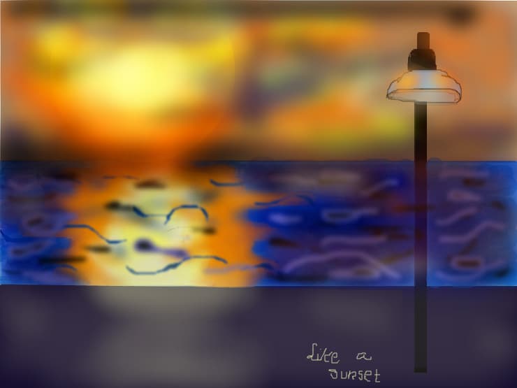 sunset