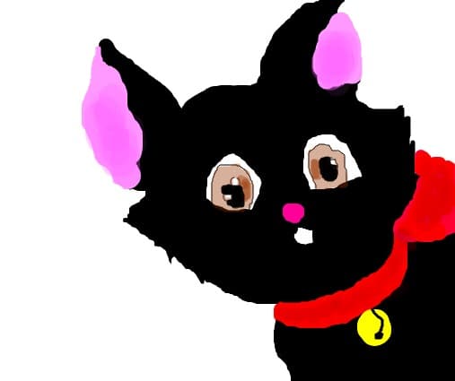 din puterea     echipei miau miau