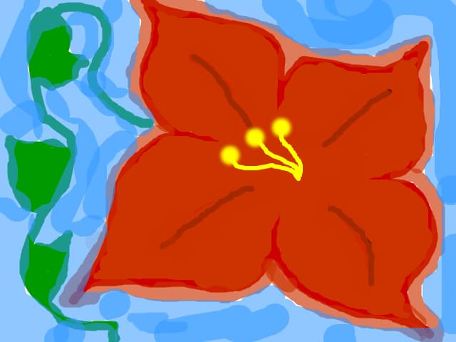 Floarea apei