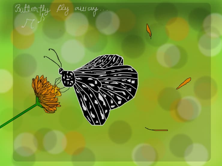 butterfly fly away