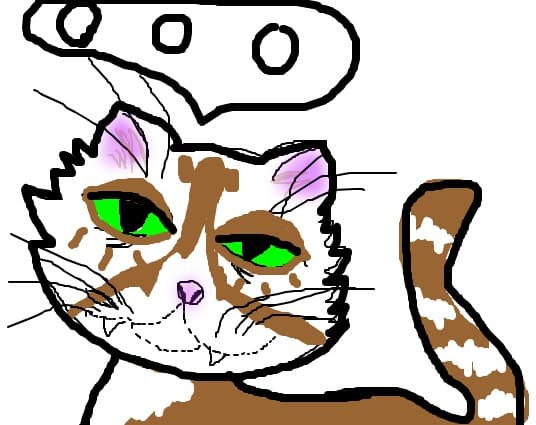 pisi