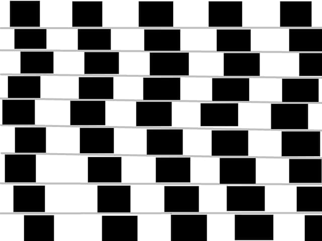 optic illusion