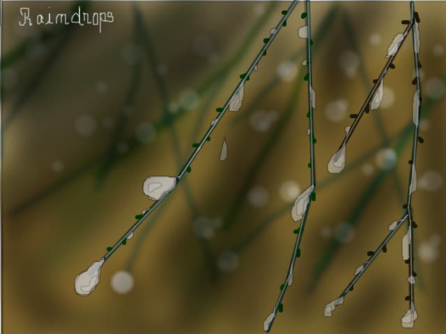 raindrops