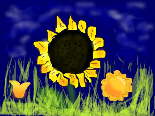 summer