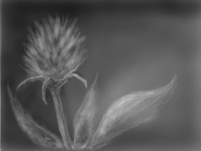 floare