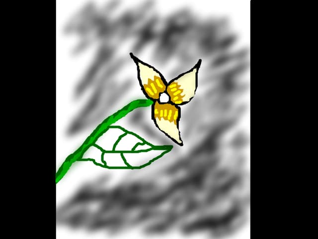 Floricica :X