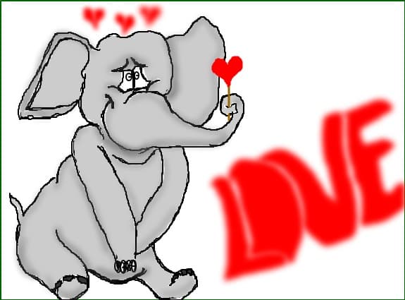 elefant