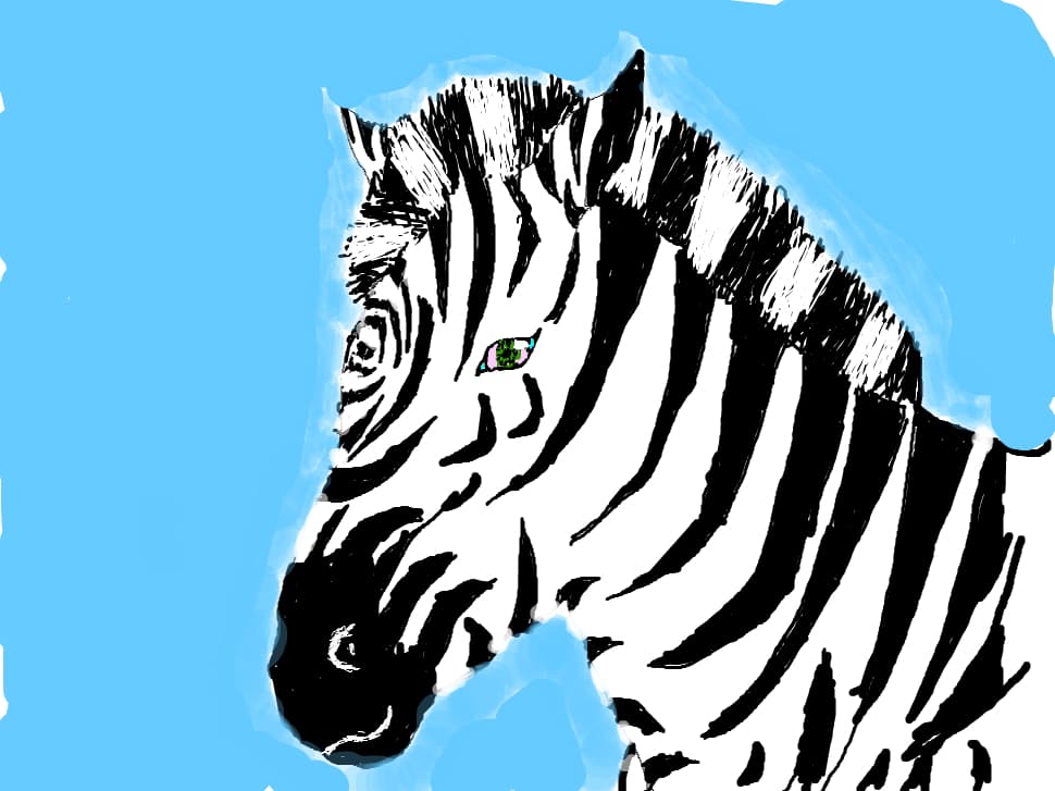 zebra
