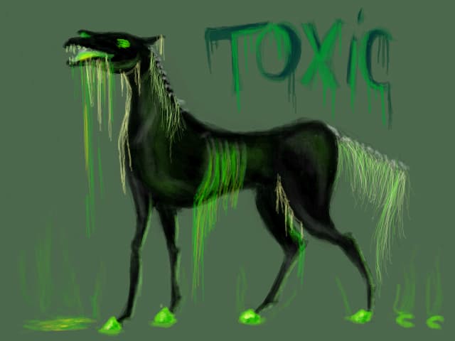 horse pet