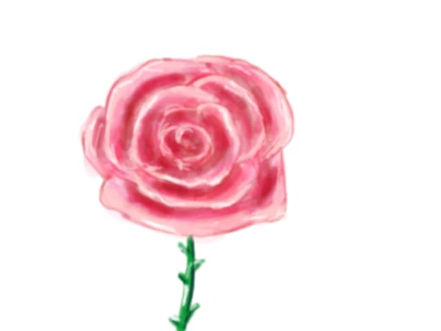 rose