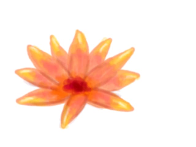 lotus