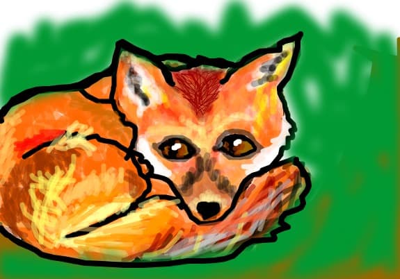vulpe