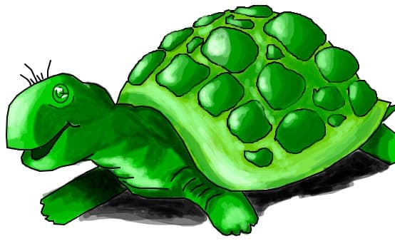 O broscuta fericita
